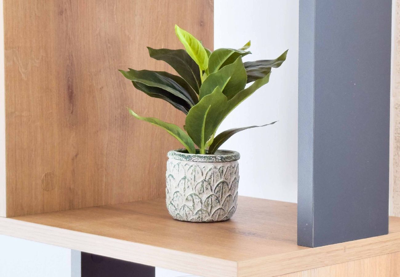 Appartamento a Ayia Napa - Bella Central Apartment